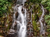 Panama Waterfall-1624