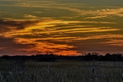 Sunset On The Anhinga Trail-9884