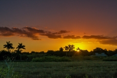 Sunset On The Anhinga Trail-0167